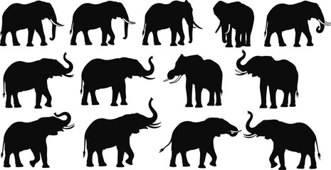 Naklejka premium Vector illustration of elephant silhouettes in various poses, wild African animals, nature wildlife icons, safari design elements, black simple shapes.