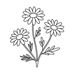 Simple black and white daisy flower illustration