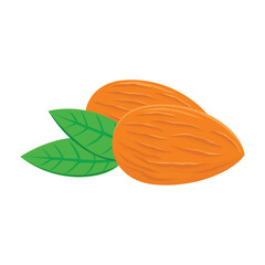 almond cartoon design. healthy food symbol.