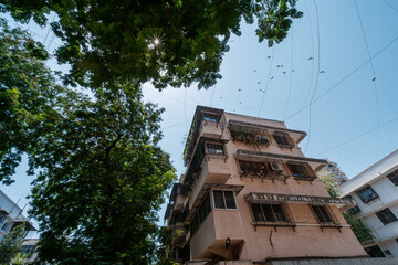 Low-angle shot of residential building framed by tree branches, with blue sky above