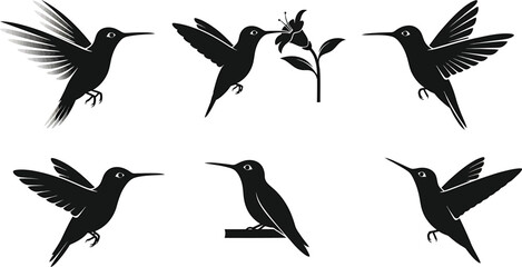 Set of hummingbird silhouettes, showcasing various poses and wing positions, perfect for nature themed designs