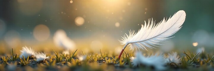 Soft, delicate feathers drift gently to the ground, creating a serene and ethereal scene Perfect for nature, tranquility, and dreamlike imagery , white, backdrop, tranquility