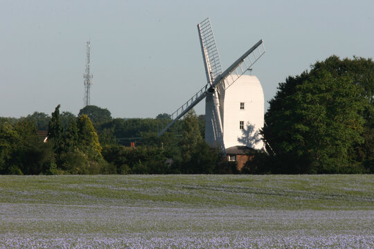 Bocking windmill, near Braintree, Essex, UK