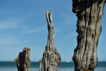 Plage du Sillon à Saint-Malo - brise-lames