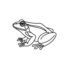 Simple outline drawing of a frog on a white background