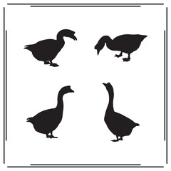 Goose Silhouettes Set &ndash; Creative Goose Illustrations in Various Poses for Animal Art, Graphic Design, and T-shirt Projects