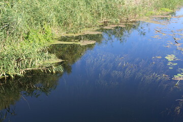 the river in our village is a beautiful combination of Ukrainian nature