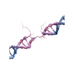 Abstract Representation of DNA Strand Breakage and Repair