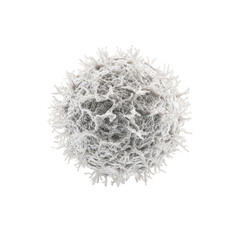 Microscopic View of a White Blood Cell, Immune System Cell, Detailed 3D Render