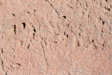 Textured Reddish-Brown Surface with Cracks and Holes