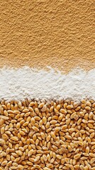 Obraz premium Wheat Grains, Flour, and Bran, High-Resolution Food Texture Image