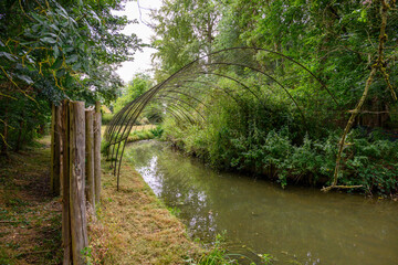 the net receiving ducks in a duck decoy
