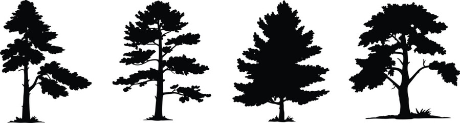 Pine Tree Silhouette Collection, Evergreen Forest, Nature Landscape, Tree Outline Art, Black Tree Shapes, Flat Vector Illustration