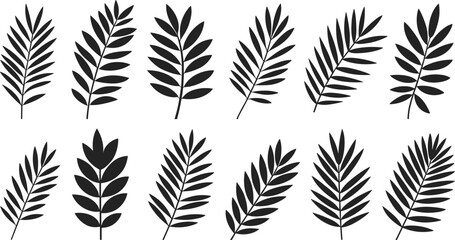 Set of black palm leaves silhouettes, tropical botanical collection, exotic plant foliage, natural leaf shapes, summer nature elements, flat vector illustration