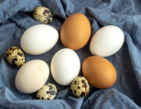 Assorted eggs arranged on a blue cloth backdrop