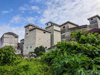 Cluster of tall swallow bird houses with concrete walls and small ventilation holes, surrounded by lush green vegetation under a bright blue sky, blending urban structure with natural habitat design.