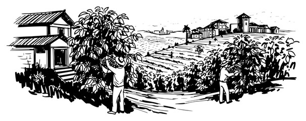 Orchard harvest countryside landscape sketch vector