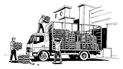 Workers loading a truck with crates of fresh produce sketch