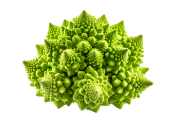 Romanesco broccoli fractal vegetable isolated on transparent background