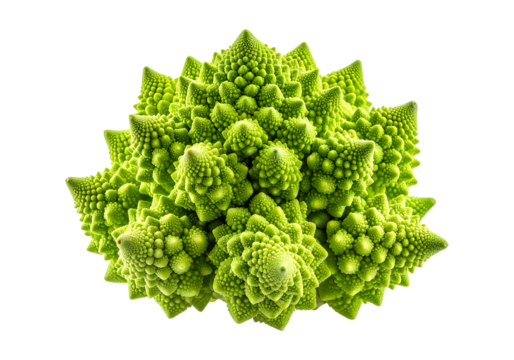 Romanesco broccoli fractal vegetable isolated on transparent background