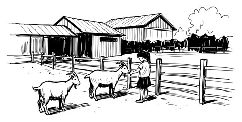 Child with goats at rural farm by fence © Mago