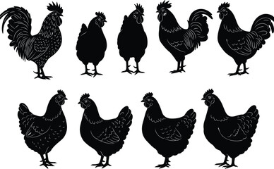Rooster and Hen Silhouettes, Chicken Vector Clipart, Poultry Bird Illustration, Farm Animal Graphic, Domestic Fowl Design, Black Chicken Outline