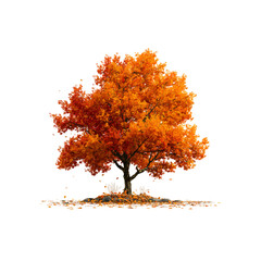 autumn tree isolated on a transparent background, in a PNG format	