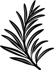 Abstract geometric pattern swirls and lines evolving digital art transparent background