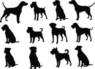 Dog Silhouettes Collection, Sitting and Standing Dogs, Pet Animal Vector, Black Dog Icons, Canine Shapes Set, Dog Clipart Pack