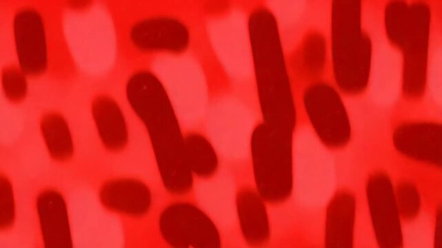 Solid red background. Suitable for graphic design projects, text overlays, presentations, and creating eyecatching visuals for marketing materials.