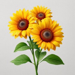 Obraz premium Bright and Cheerful Sunflowers Against a Light Neutral Background