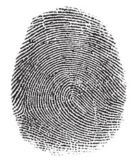 Black Fingerprint Pattern on White Background