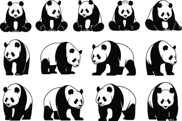 Fototapeta premium Panda bear silhouettes, cute pandas sitting and walking, black and white animal vector, wildlife illustration, nature, giant panda clipart, endangered species