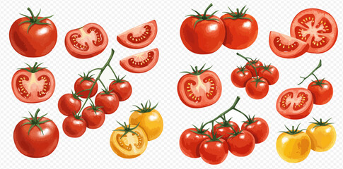 A vibrant illustration set of fresh red and yellow tomatoes, shown whole, sliced, halved, and on the vine.