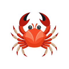 a crab on white background vector art