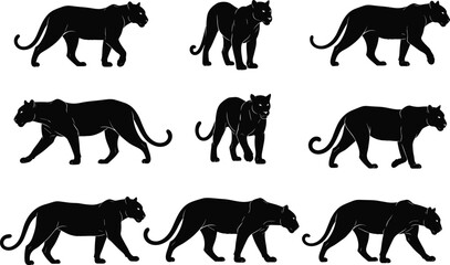Black panther walking silhouette vector, wild animal illustration, big cat pose collection, jungle wildlife clipart, feline motion art