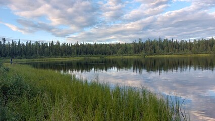 lake and forest