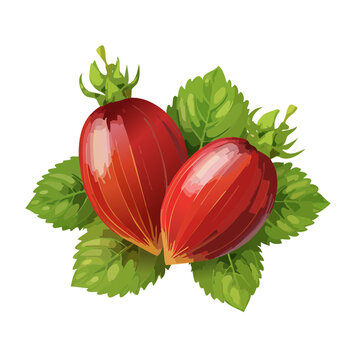 Two ripe schisandra berries with fresh green leaves on a black background in a cartoon style.