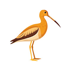 Stylized vector illustration of a whimbrel bird standing against a black background