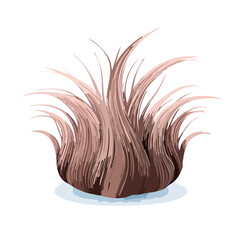Textured Bushy Plant Illustration Fluffy Ornamental Grass Cartoon Style