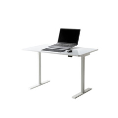 Modern White Electric Height Adjustable Standing Desk with Laptop Computer