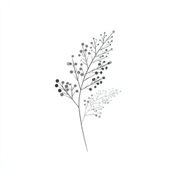 Delicate grayscale illustration of a stylized fern-like plant with small, clustered dots.