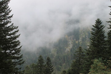 2025 - Lac de Gaube / Pont d´Espagne - Cauterets