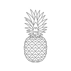 Obraz premium Line Art Drawing Of A Pineapple
