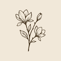 Hand Drawn Magnolia flower Wedding Illustration Collection