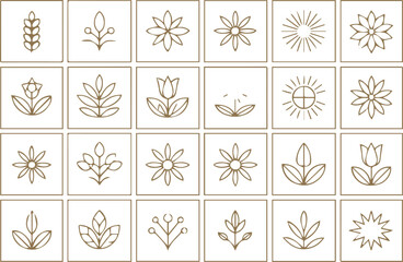 minimalist plant and flower line art vector icons handdrawn botanical outlines for creative projects