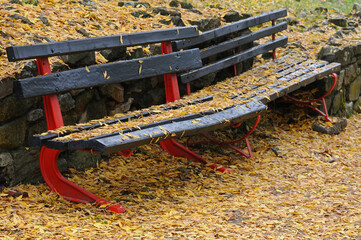 Yellow fallen leaves on benches