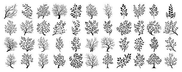Big collection of tree and branch silhouettes
