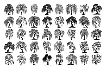 Weeping willow tree silhouettes collection