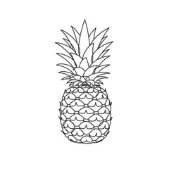 Obraz premium Line Drawing of a Pineapple